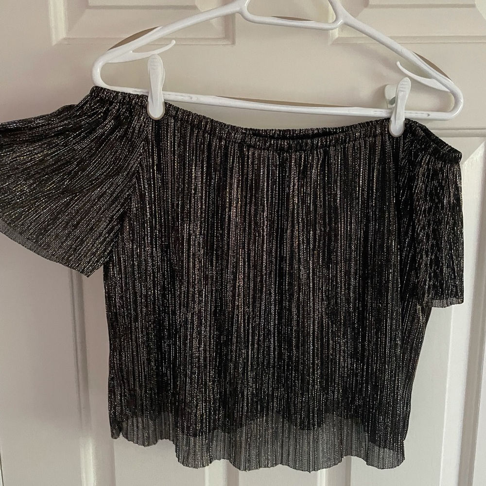 Zara Basic Collection Off-The-Shoulder Metallic Top Size M